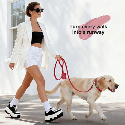 Didog Custom Dog Collar Leash Set With Poop Bag PU Leather