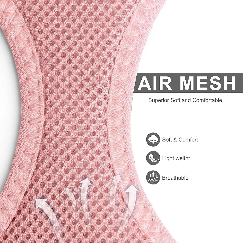 Adjustable Escape Proof Mesh Cat Harness And Leash Set