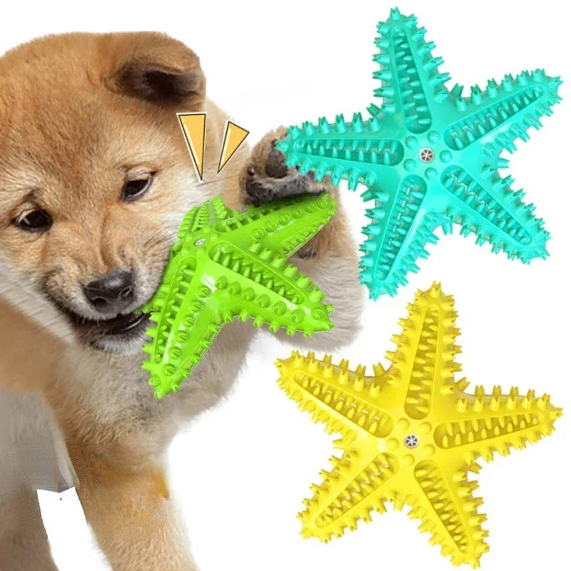 Hign-concerned Vocal Starfish Dog Toy Interactive Rubber Balls DentalTeethCleaning