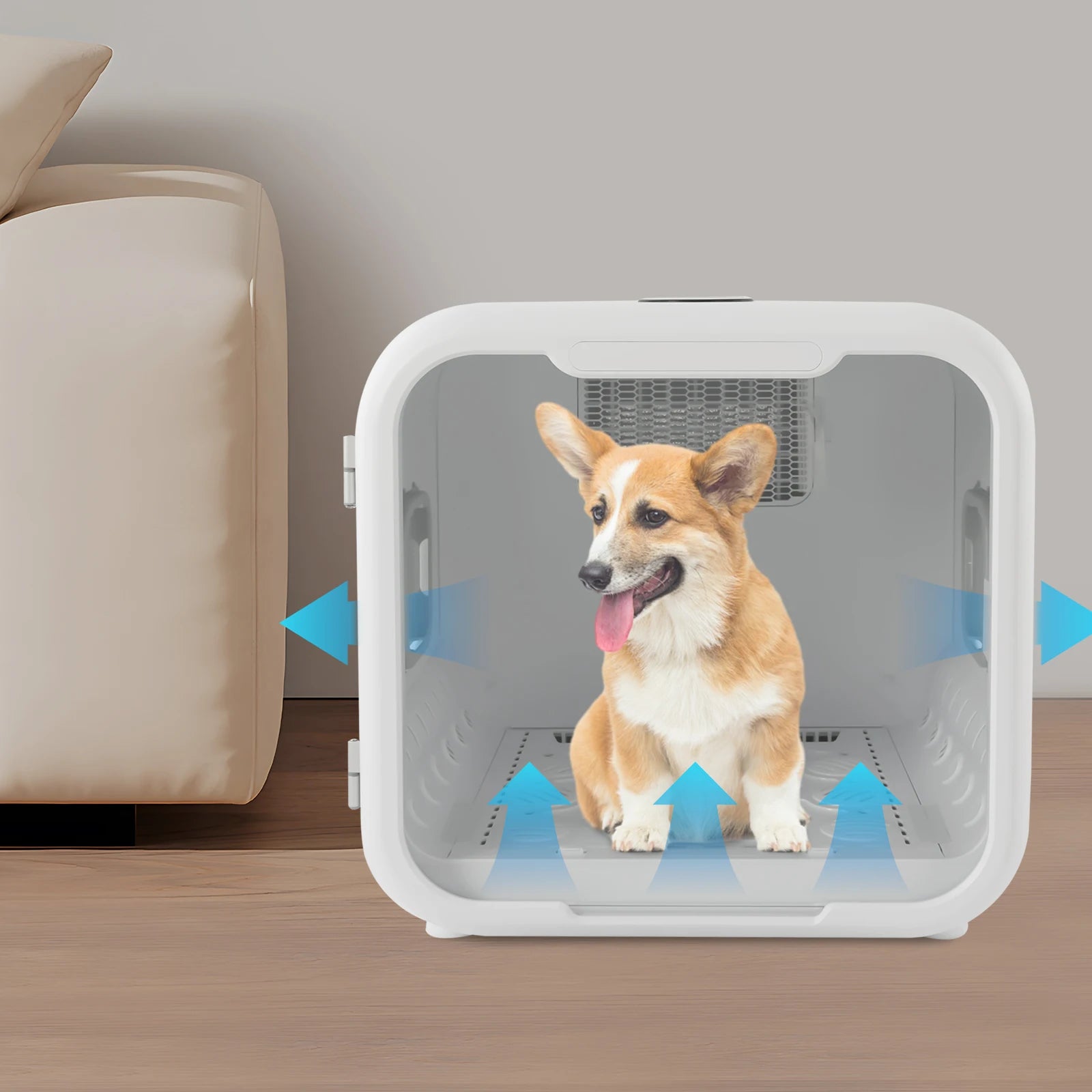 800W Pet Dryer Box For Grooming Hair Drying And Sanitation