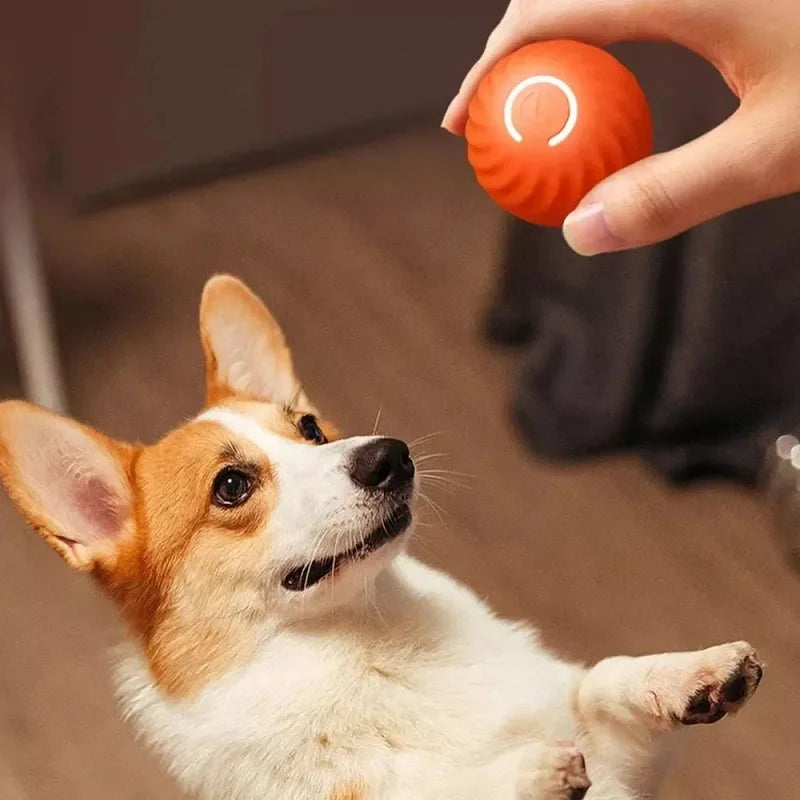 Automatic Moving Dog Ball Toy USB Smart Interactive Chew Ball