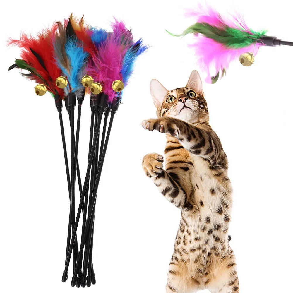 5pcs/set Chicken Feather Cat Stick Colorful Feather Funny Cat Stick Exquisite Portable Creative Fashion Novelty Pet Cat Supplies