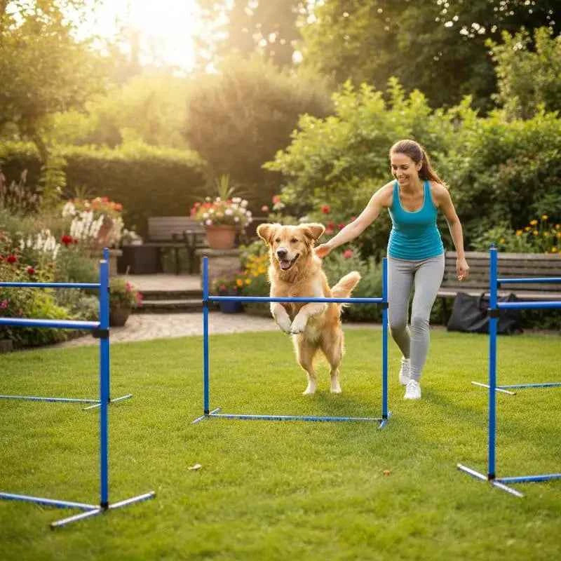 Dog Agility Training Kit Is A 4-piece Set of Dog Agility Training Equipment, Including 4 Height-adjustable Interlocking Obstacle Courses and A Carrying Bag