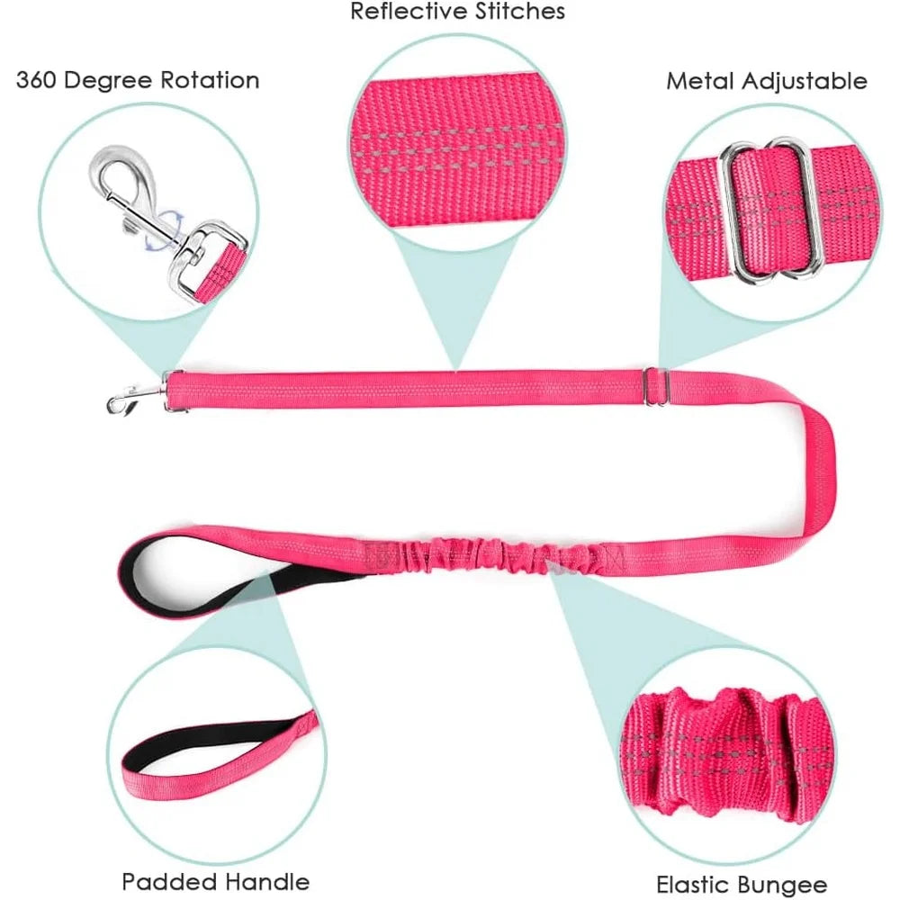 Adjustable Reflective Padded Dog Harness And Leash Set