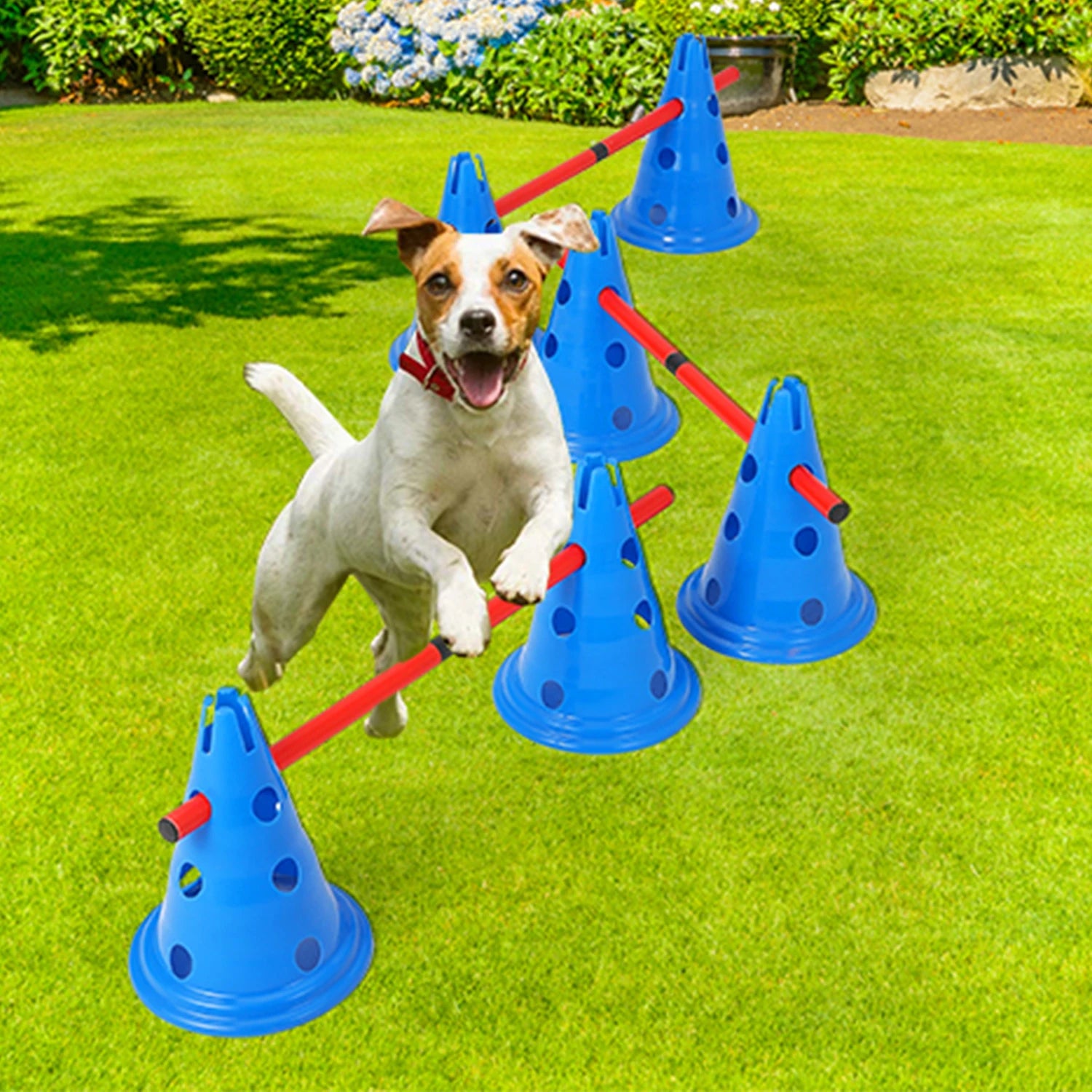 HiMISS Dog Agility Hurdle Cone Set 12 Cones 6 Rods