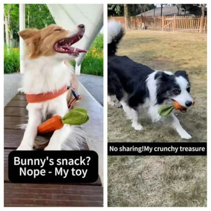 Dog Squeaky Chew Toys for Aggressive Chewers, Rubber Carrot Dog Toys for Training and Cleaning, Durable Interactive Tough Dog T
