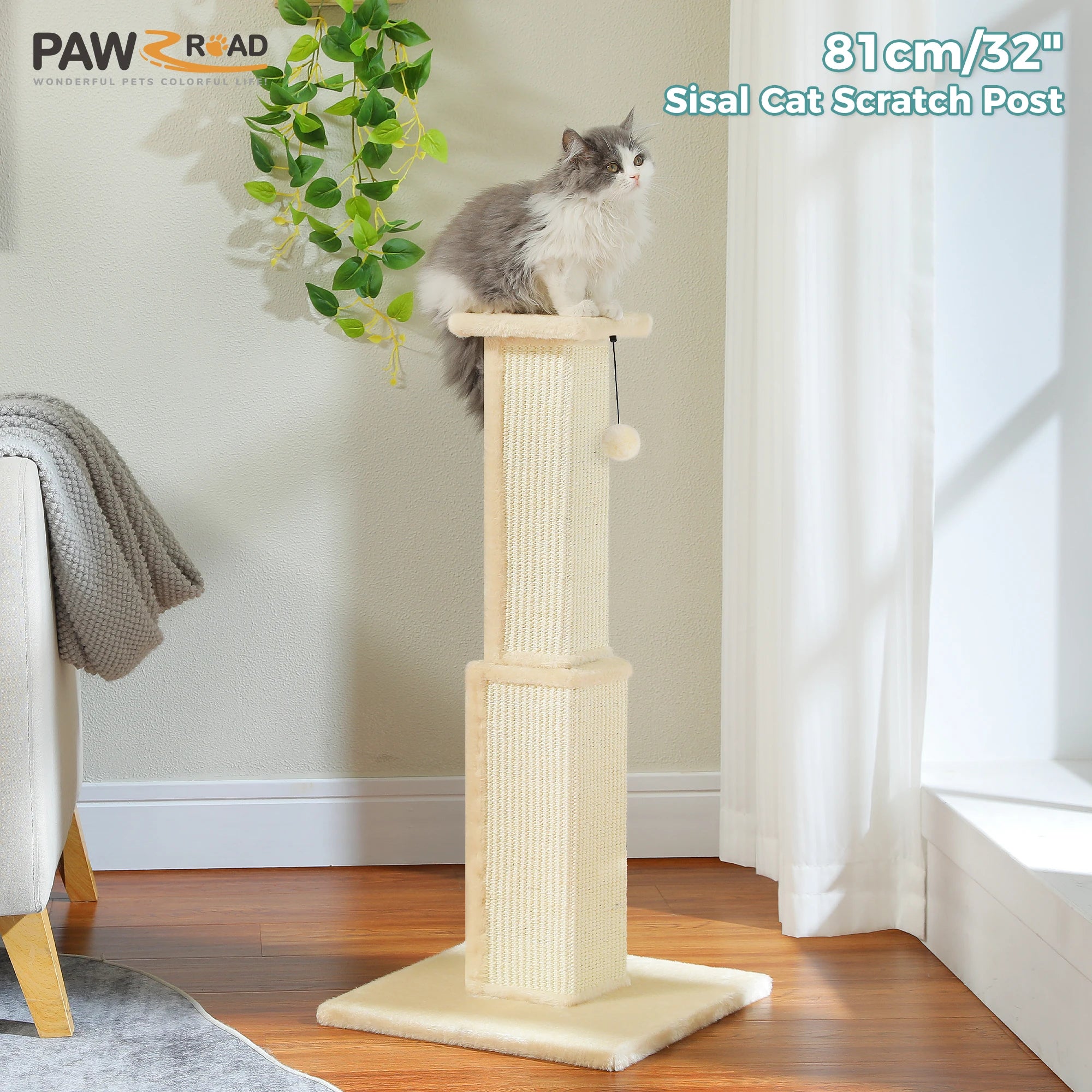 PAWZ Road Cat Scratcher With Woven Sisal Ball Toy Indoor