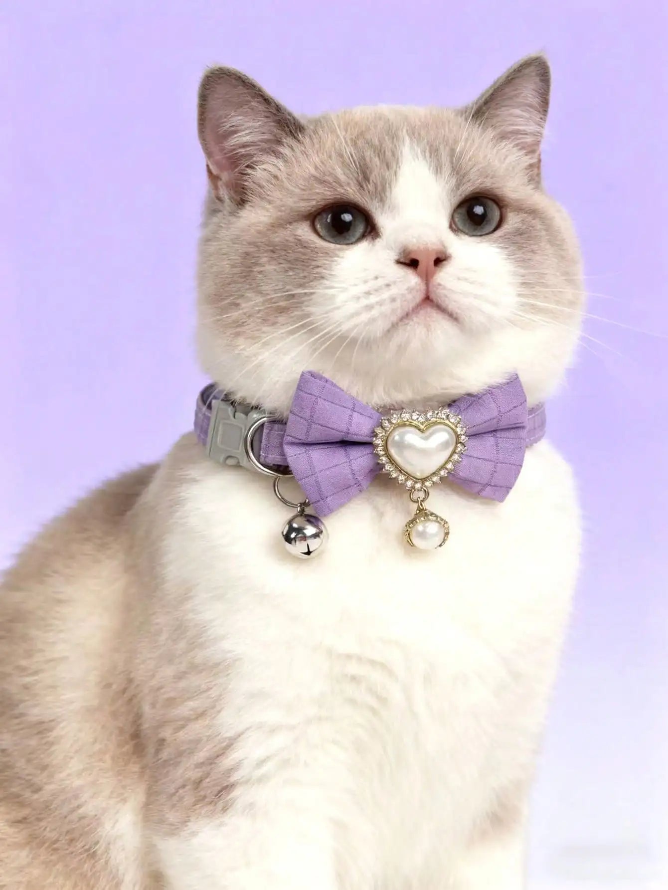 Silicone Bow Tie Pet Collar, Adjustable For Cat And Dog