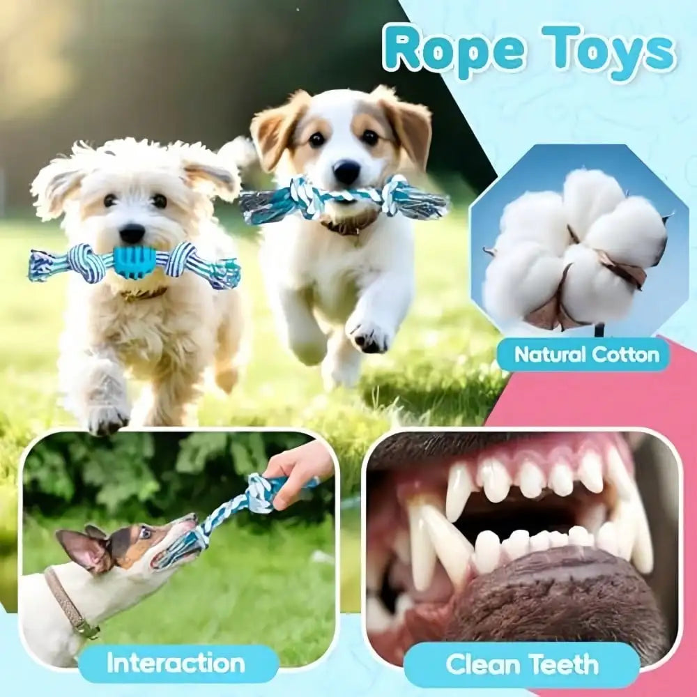 Resilient Dog Toy Set With Chew Balls And Rope Toys