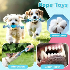 Resilient Dog Toy Set With Chew Balls And Rope Toys