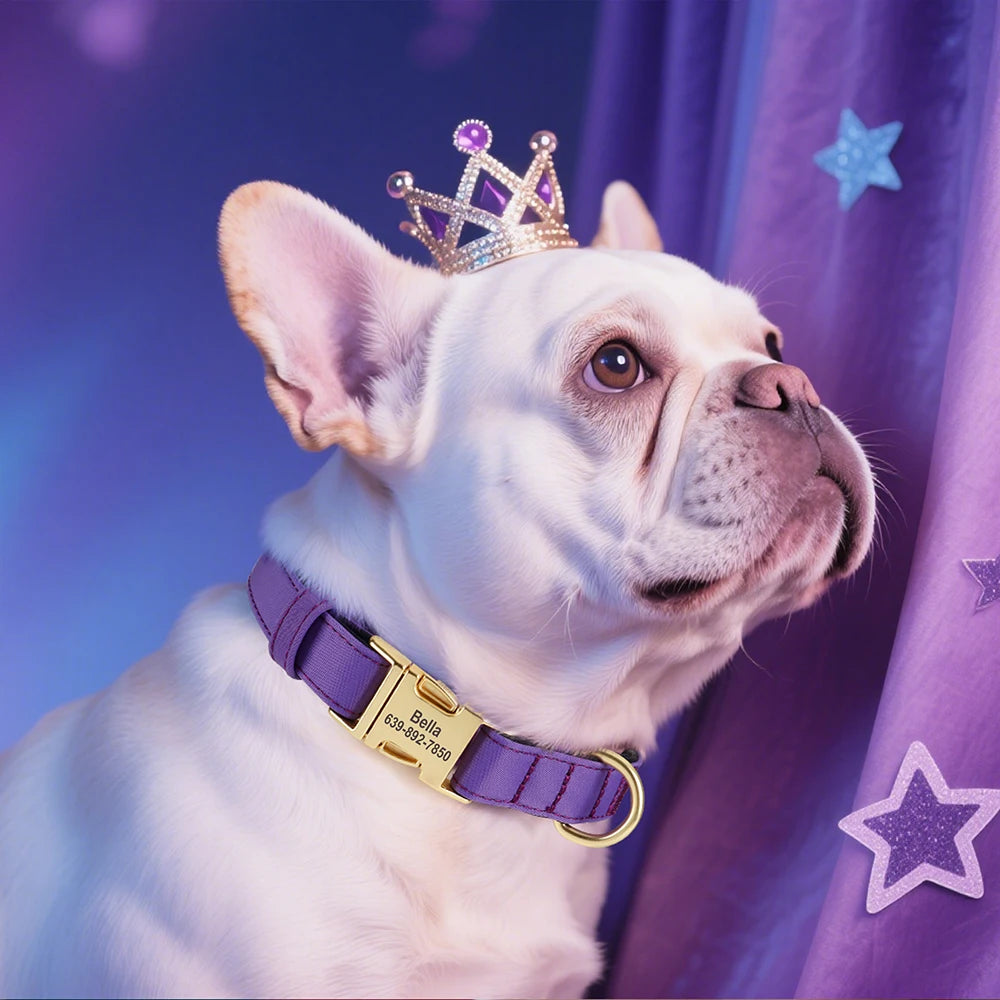 NONECN Personalized Waterproof Nylon Dog Collar Padded Engraved