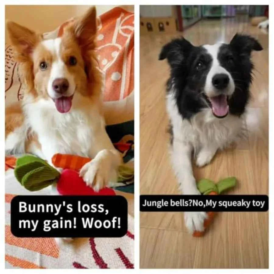 Dog Squeaky Chew Toys for Aggressive Chewers, Rubber Carrot Dog Toys for Training and Cleaning, Durable Interactive Tough Dog T