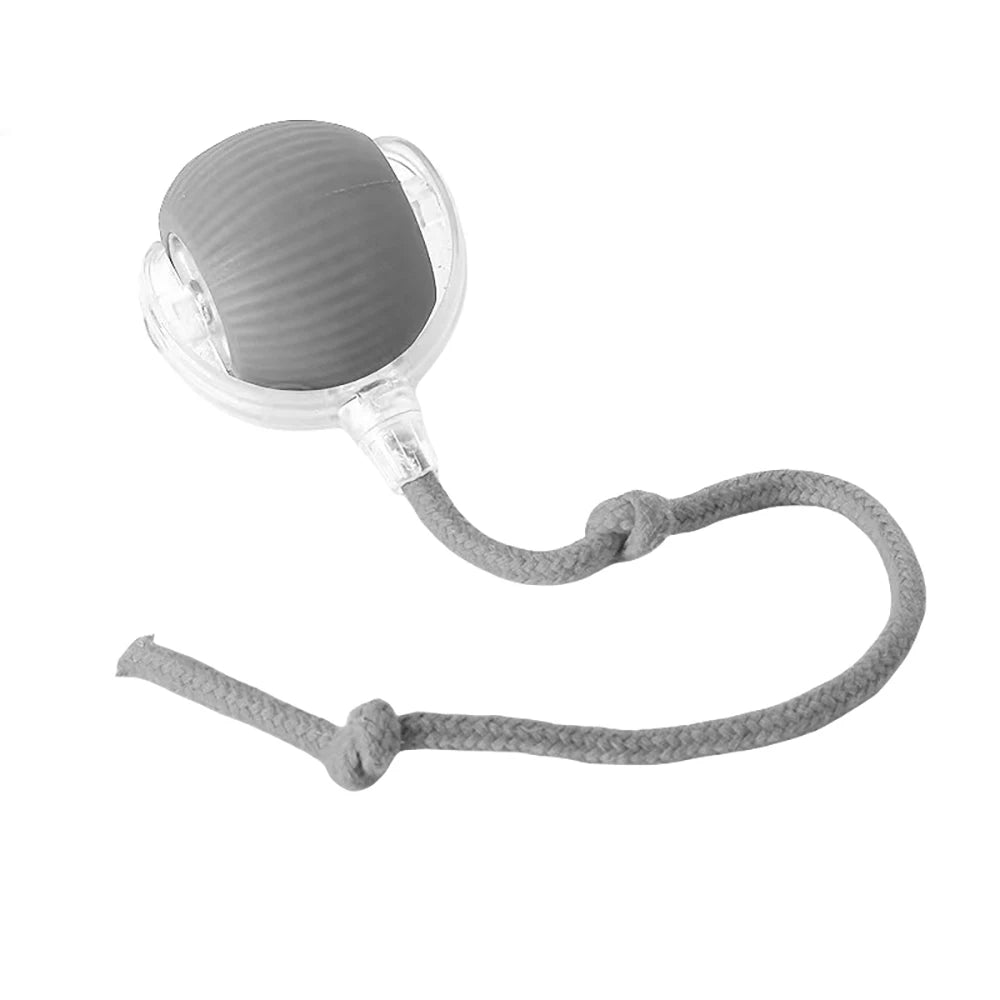 Rechargeable Interactive Rolling Cat Toy Ball Indoor Play