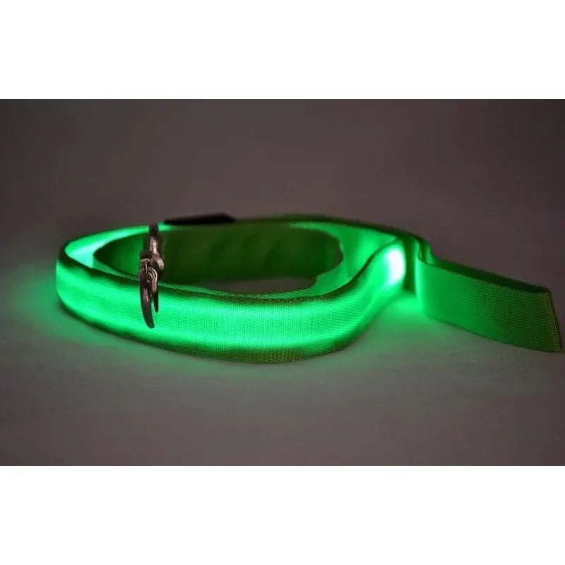 LED Light Up Dog Safety Leash Luminous Flashing Lead