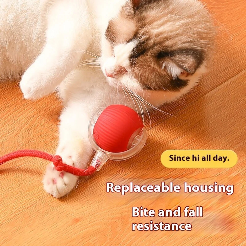 Rechargeable Interactive Rolling Cat Toy Ball Indoor Play
