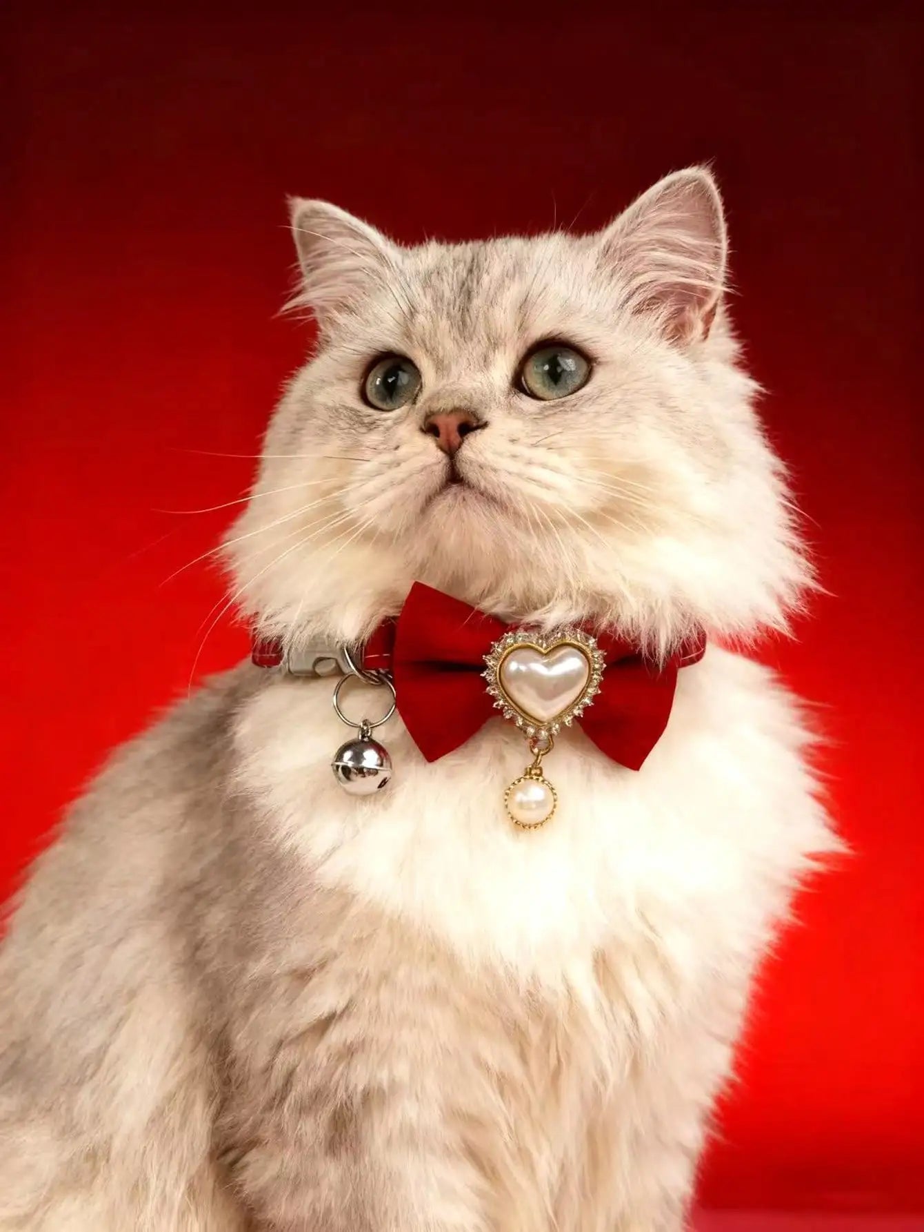 Silicone Bow Tie Pet Collar, Adjustable For Cat And Dog