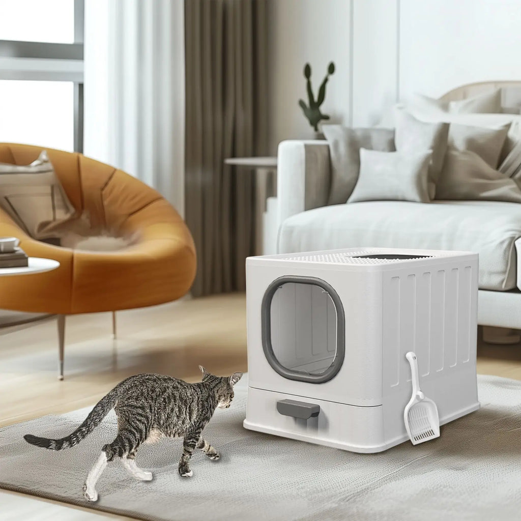 Enclosed Cat Litter Box With Lid Top Entry Scoop Included