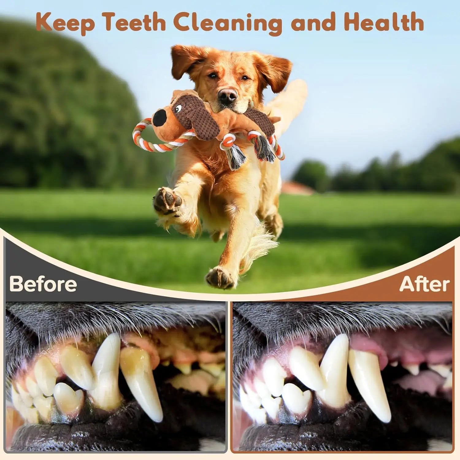 Squeaky Tug Of War Dog Toy With Indestructible Rope