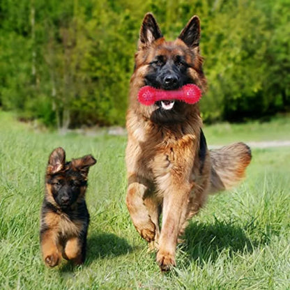 Dog Squeaky Toys Pack TPR Rubber Chew Toys For Puppy