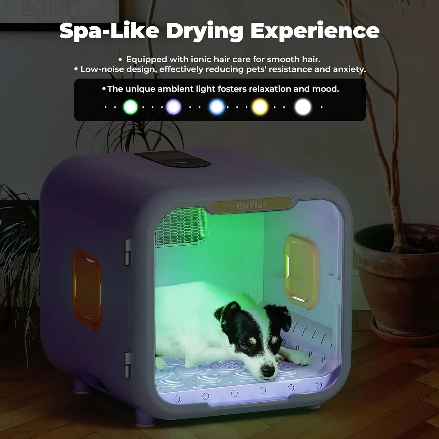 Ultra Quiet Pet Dryer Box With Smart Temperature Control