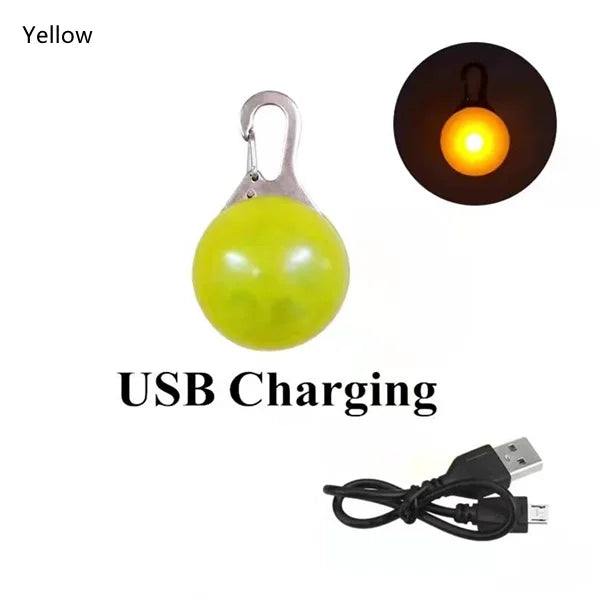 Guangdong Usb Luminous Dog Collar Rechargeable Light