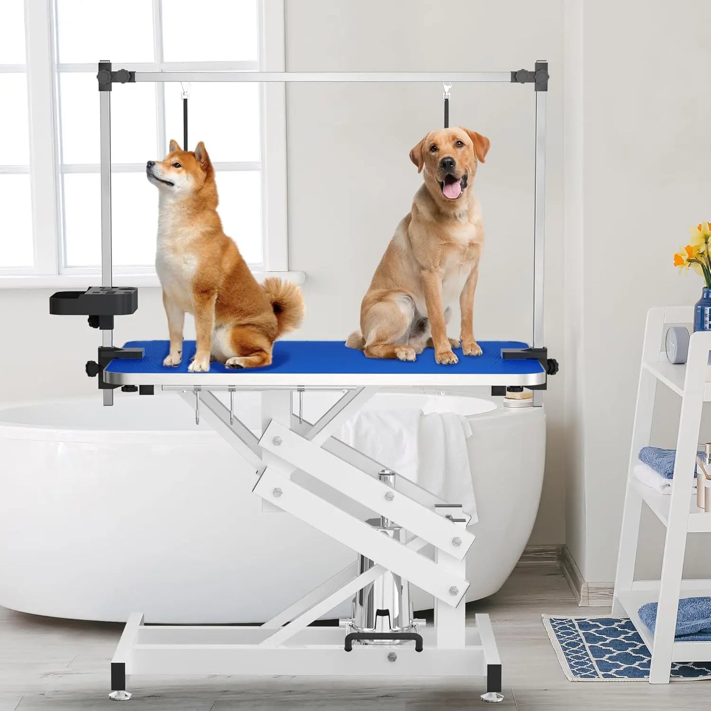 Hydraulic Pet Grooming Table With Anti Static Top Z Lift