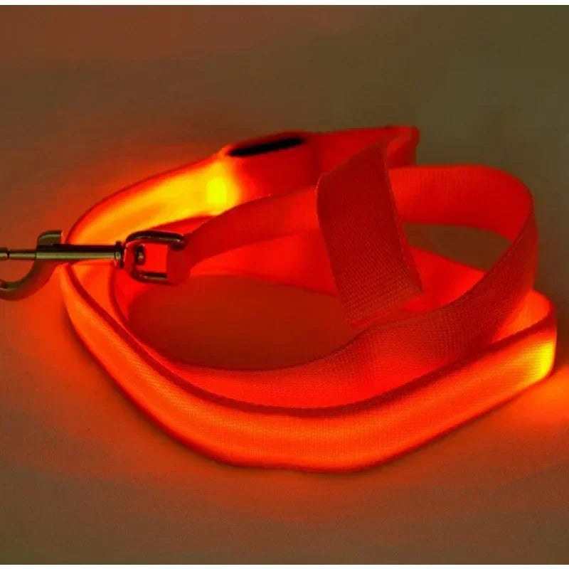 Led Light Up Dog Leash And Safety Harness With Flash