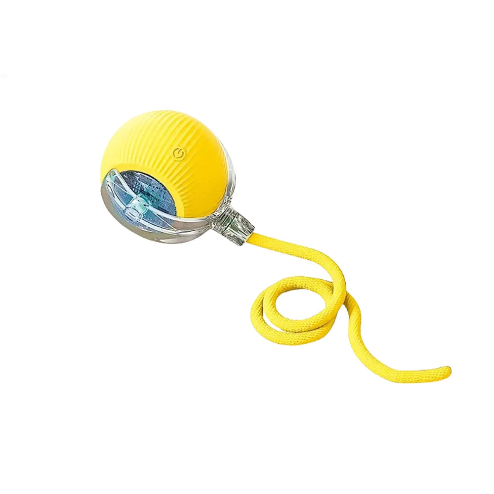 Rechargeable Interactive Rolling Cat Toy Ball Indoor Play