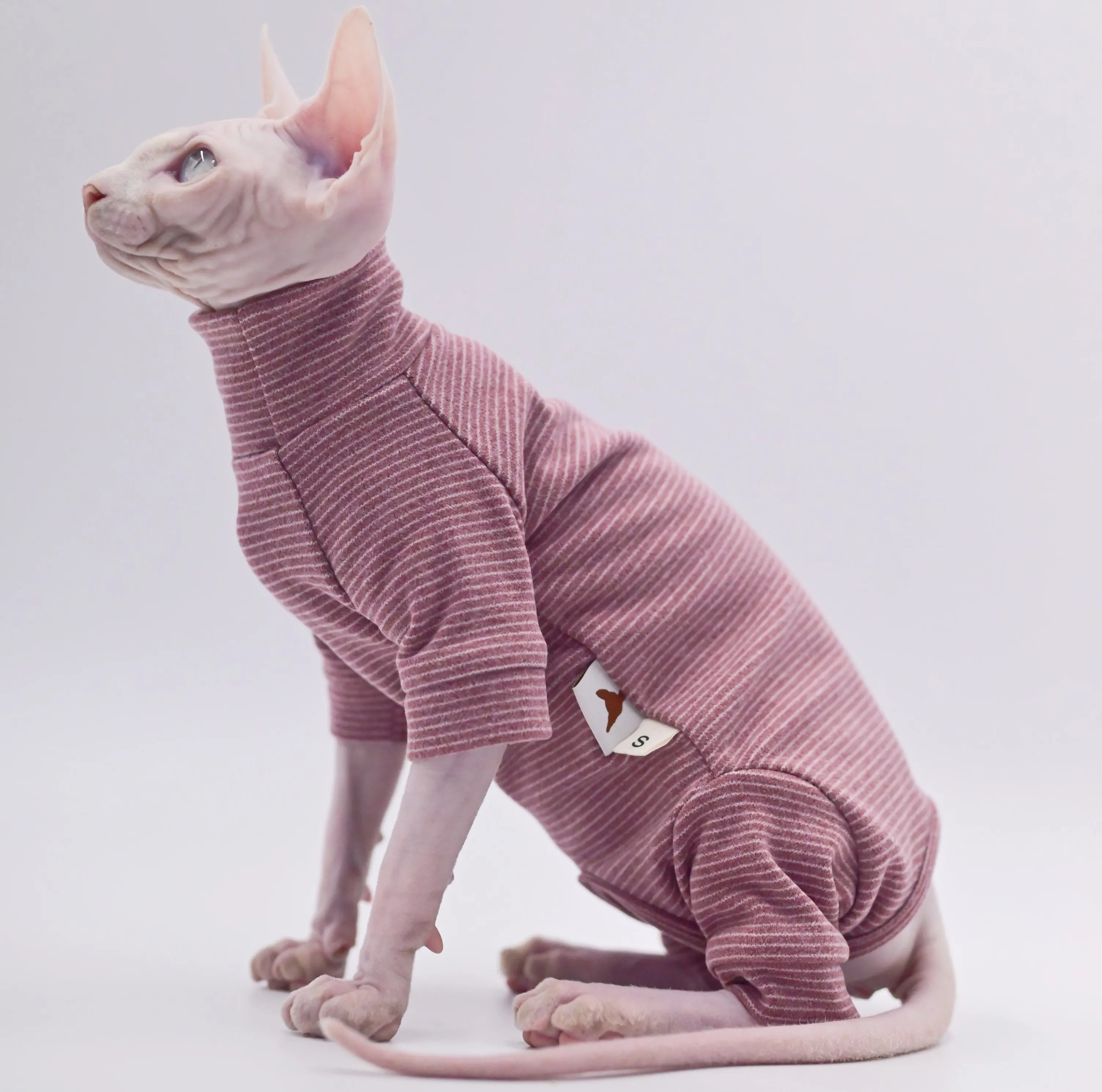 Duomasumi Hairless Cat Hoodie Four Legged Warm Soft For Sphynx