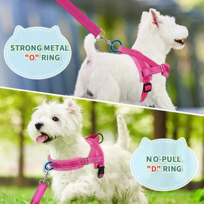 No Pull Small Dog Harness & Leash Set, Soft Vest for Small Medium Dogs, Reflective & Adjustable, Fuchsia XS