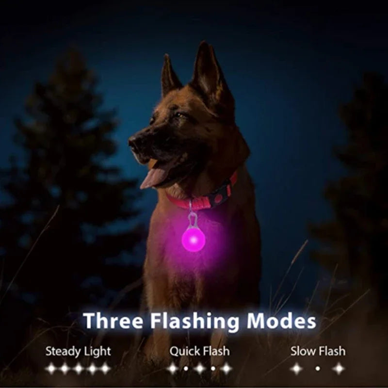 USB Charging Glowing Dog Collar With Pendant LED Night Safety