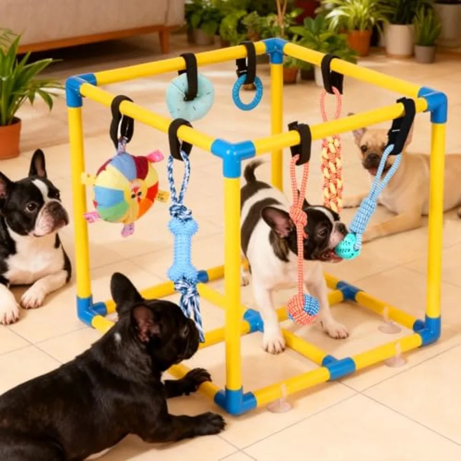 YAO HUI HUANG Deluxe Puppy Play Gym For Small Dogs