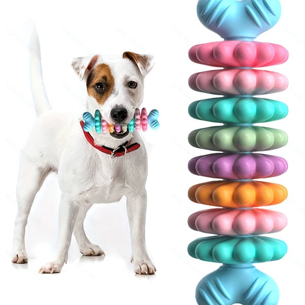 Durable Dog Chew Bone Toy Set For Teething And Dental