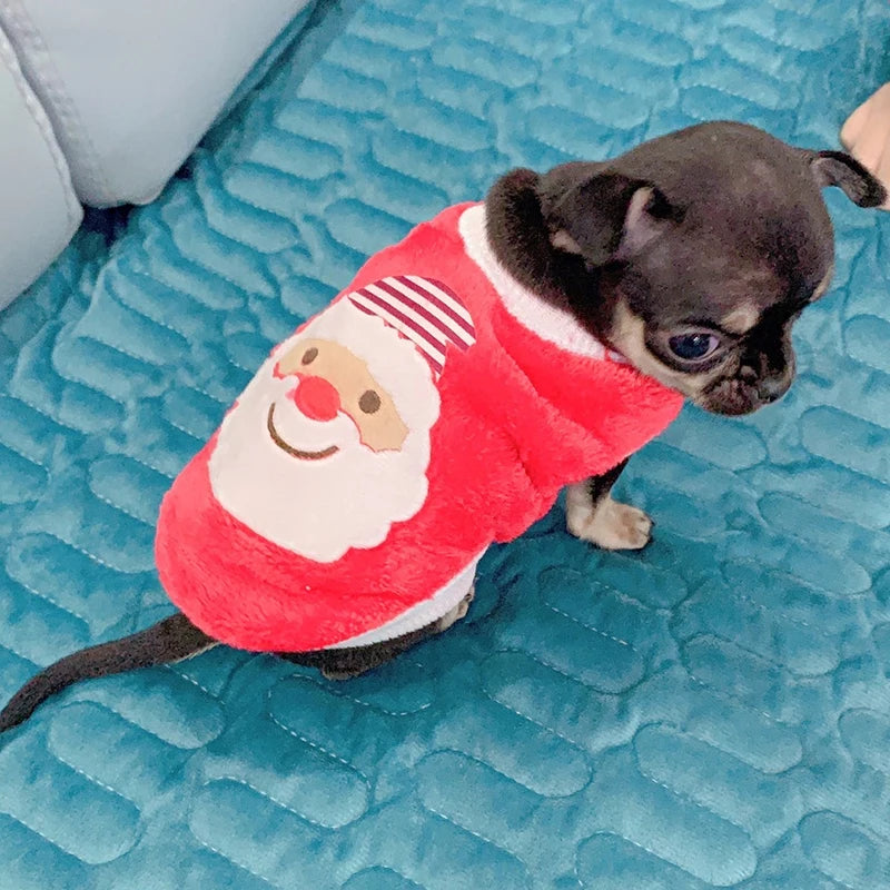 Luxurious Winter Warm Fleece Chihuahua Sweater For Small Dogs