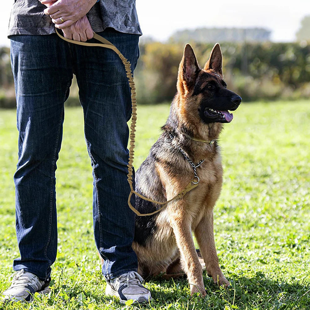 PETRAVELCN Military Dog Leash Adjustable With Quick Release Handles