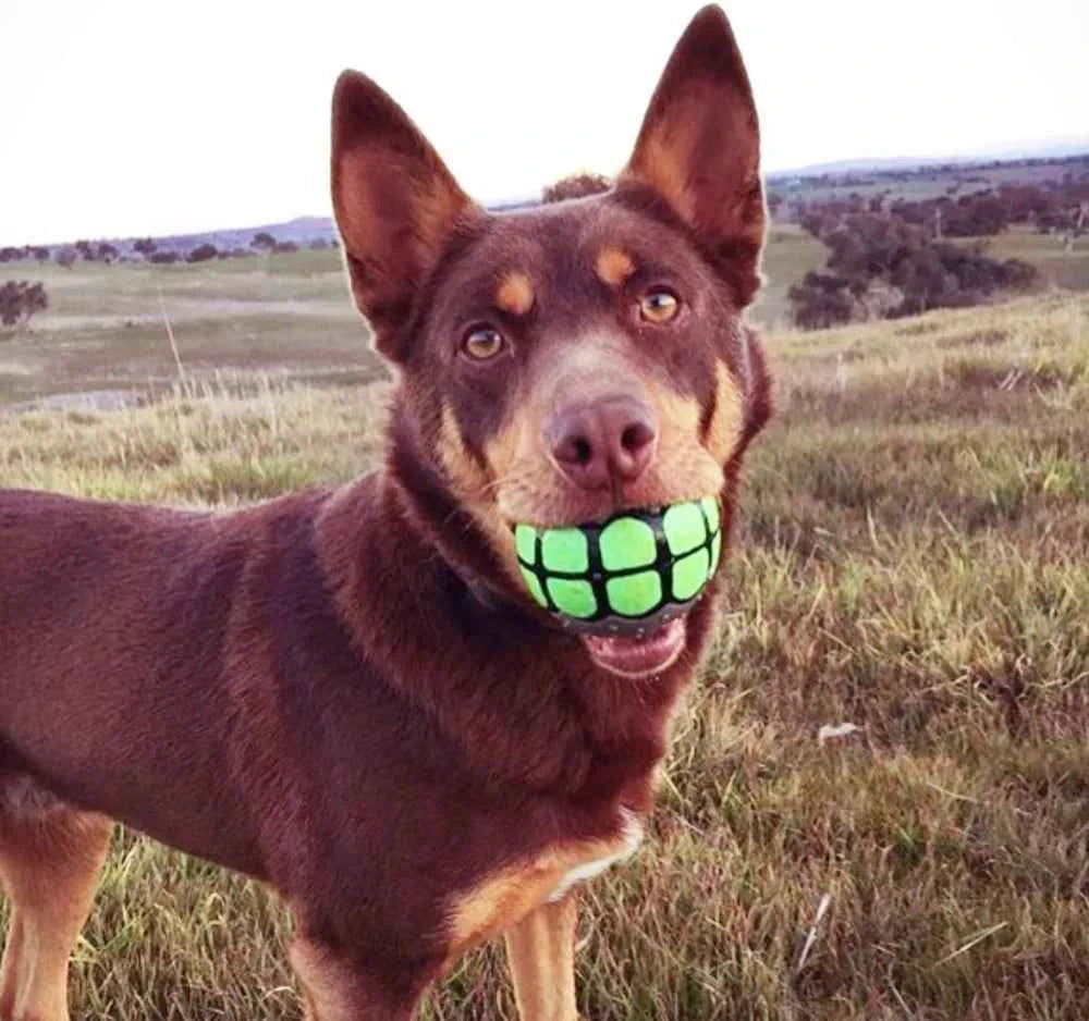 Dog Balls Toys Squeaky Fetch - Rubber Funny Ball Gifts for Large Medium Dogs