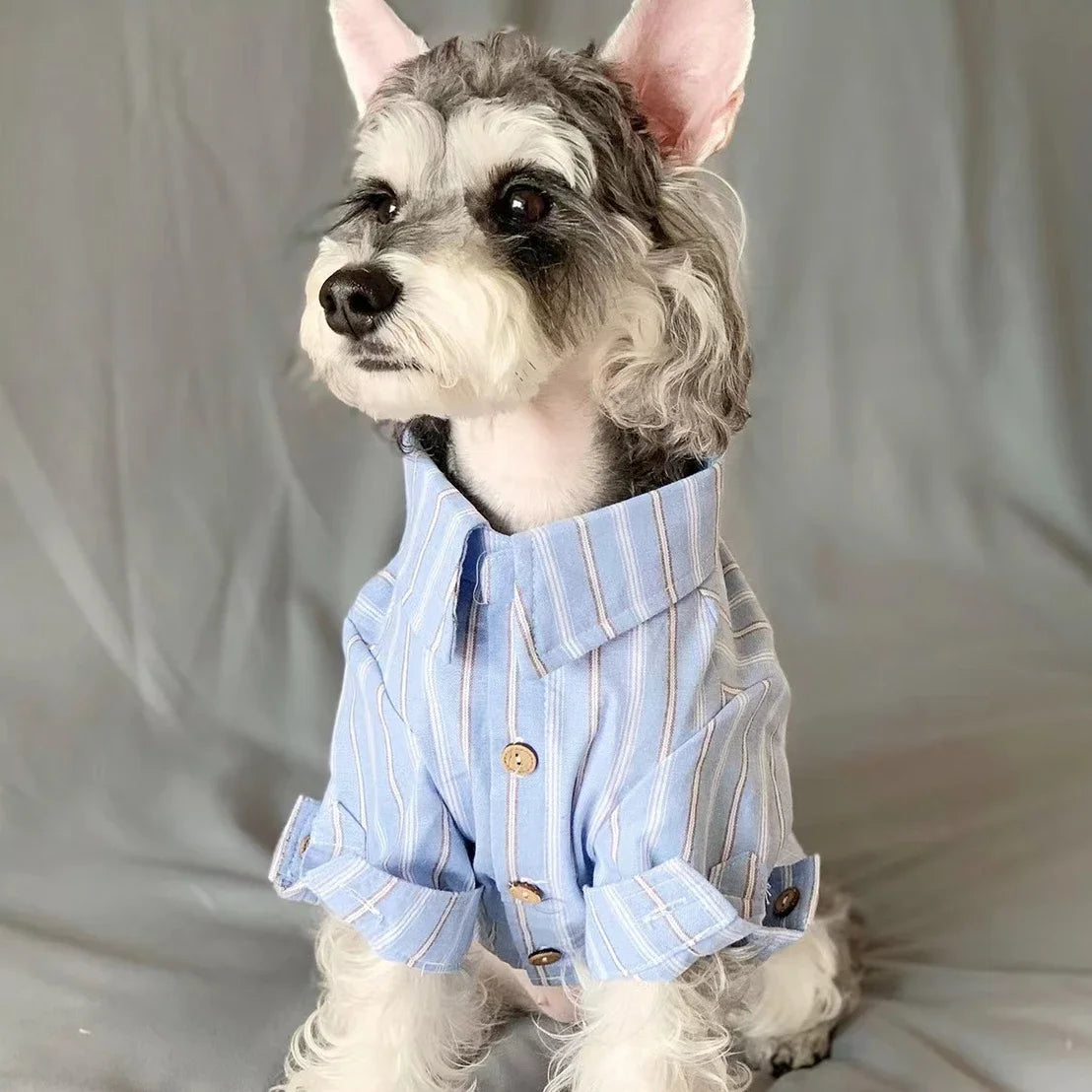 Thin Striped Pet Shirt For Cats And Small Dogs Collection