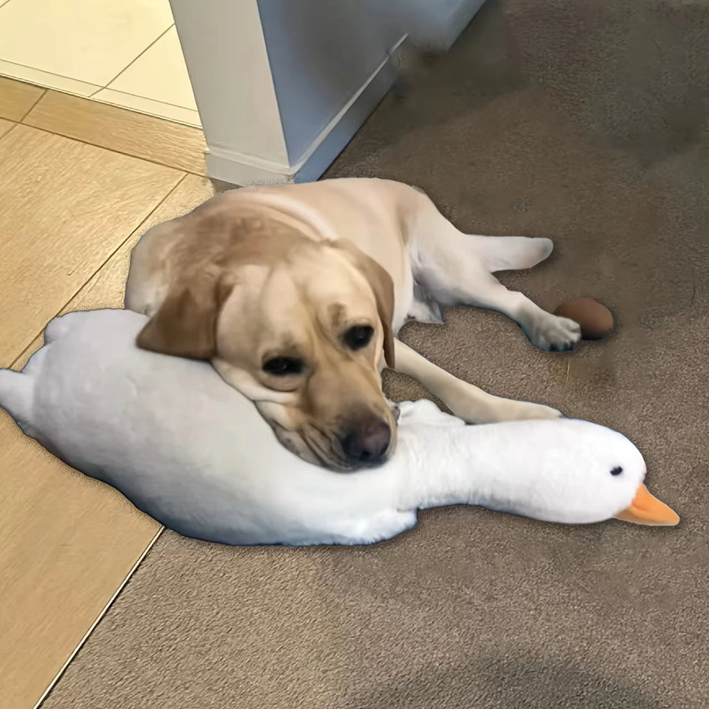 Plush Duck Dog Toy Chew and Play Realistic Durable Design
