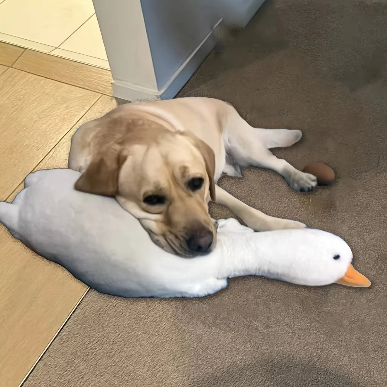 Plush Duck Dog Toy Chew and Play Realistic Durable Design