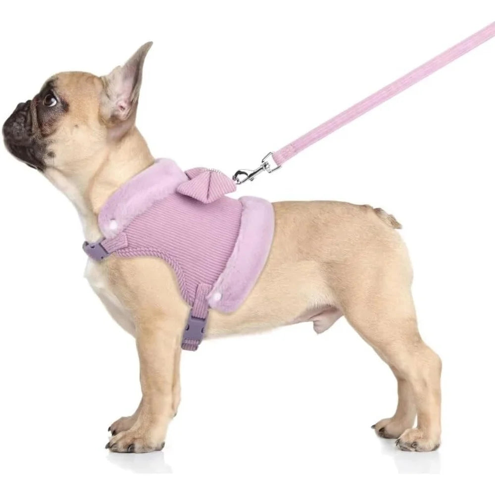 Cute Padded Dog Harness Leash Set With Removable Bow