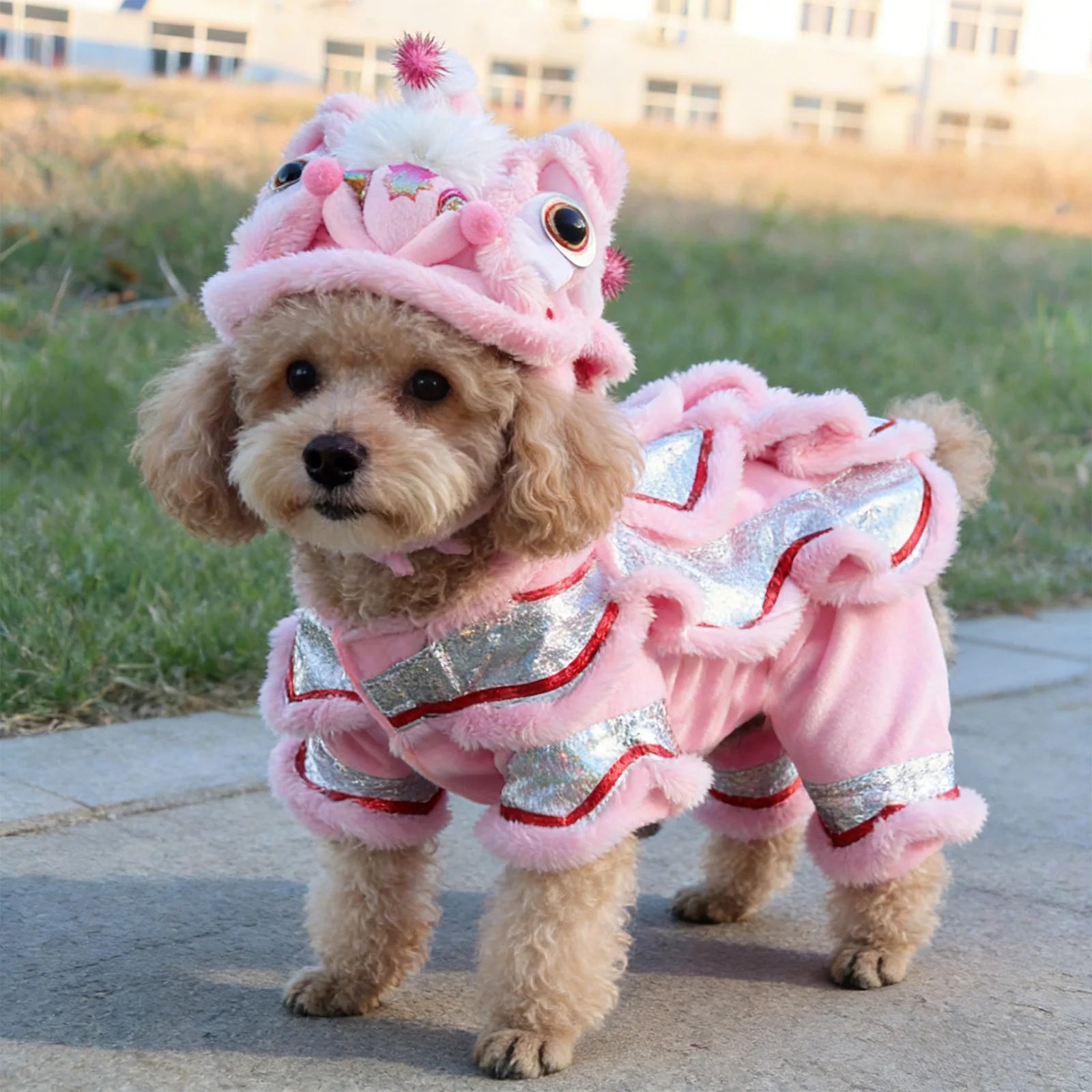 Dog Lion Dance Costume Thickened Warm Winter Outfit For Dogs