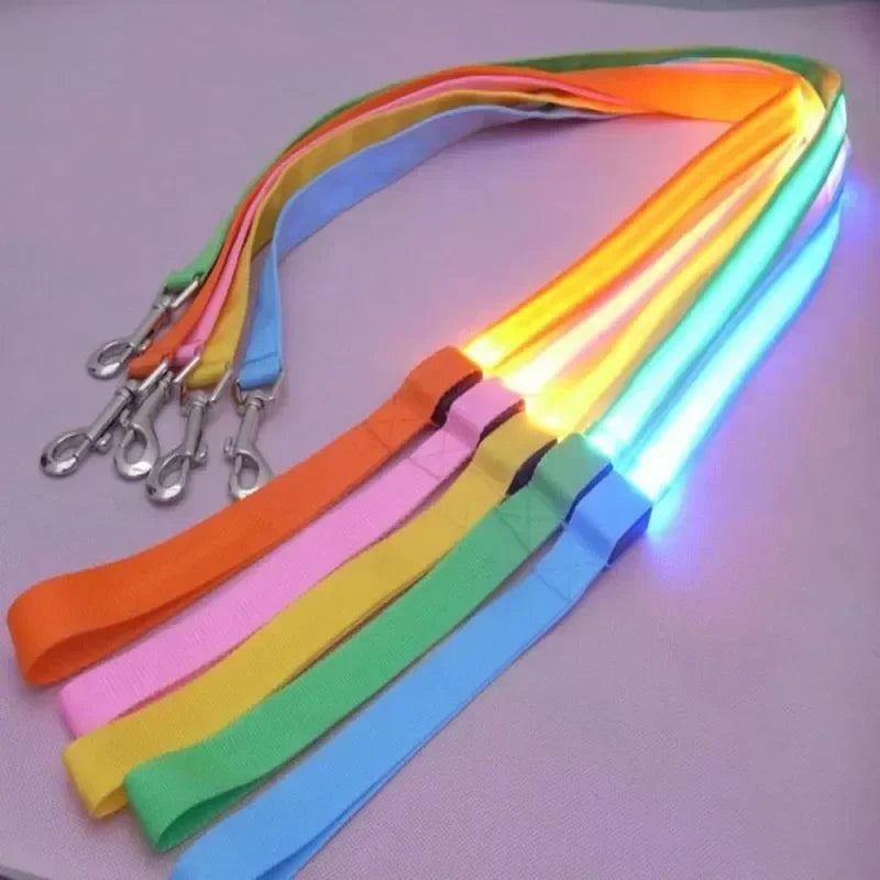 LED Light Up Dog Safety Leash Luminous Flashing Lead