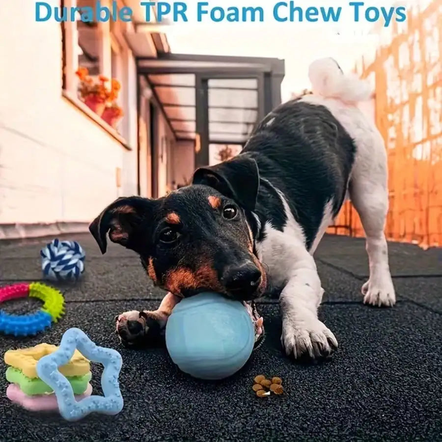Resilient Dog Toy Set With Chew Balls And Rope Toys