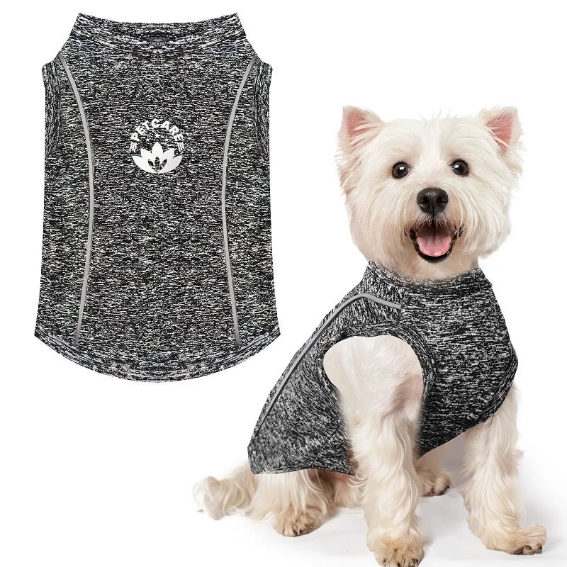 Pet Dog Shirt Quick Dry Dog T-Shirt Chihuahua Breathable Thin Sun Protection Dog Shirt Puppy Outdoor Clothes Summer Pet Supplies