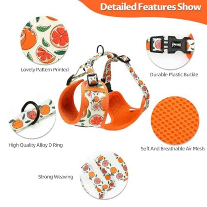 Small Dog Harness and Leash Set of 6, No Pull Soft Lightweight Mesh Puppy Harness Adjustable Cute Floral Pattern Pet Harness fo