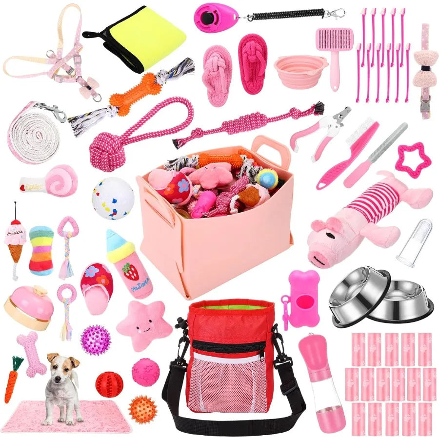 Puppy Essentials Starter Kit 65 Pcs Includes Leash and Toys