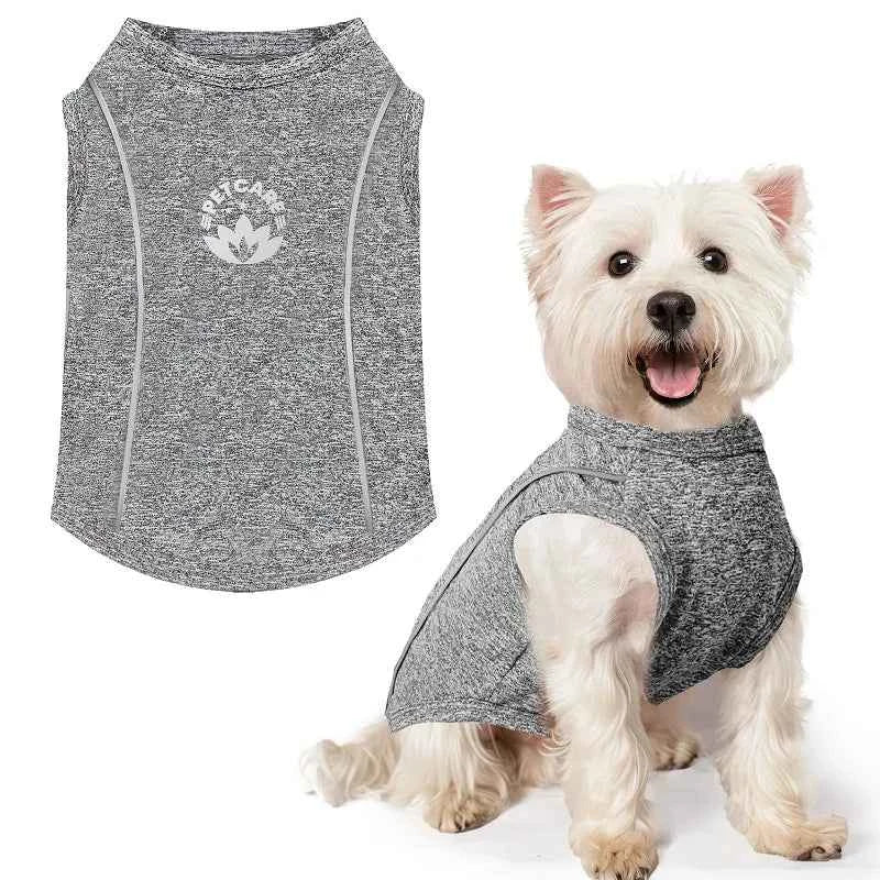 Pet Dog Shirt Quick Dry Dog T-Shirt Chihuahua Breathable Thin Sun Protection Dog Shirt Puppy Outdoor Clothes Summer Pet Supplies