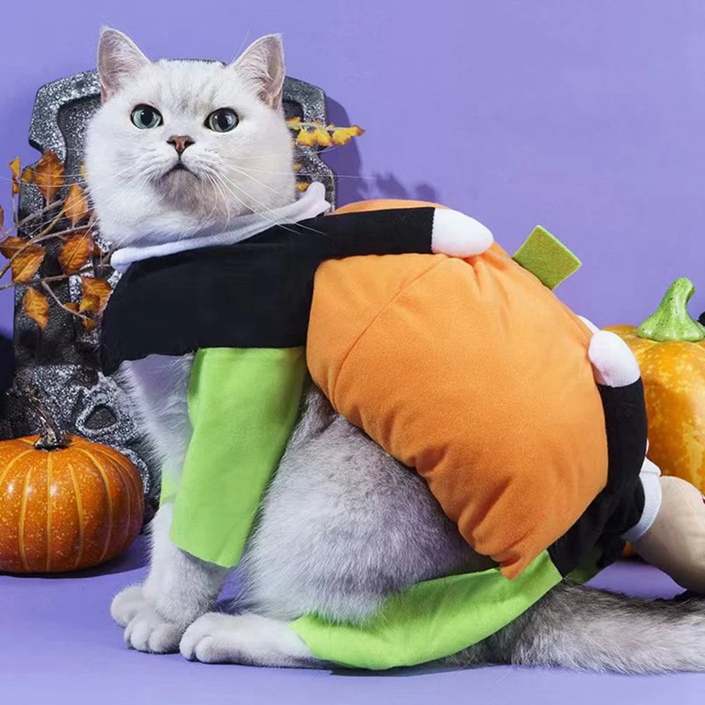 Funny Pet Cosplay Costume Small Medium Dog Leotard Coat Halloween Christmas Clothing Cat Pumpkin Transfiguring Dog Cute