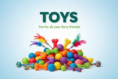 Dog Toys