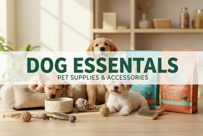 Dog Essentials